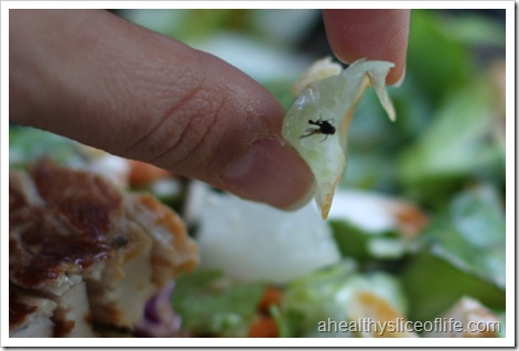 Zaxbys salad with bug