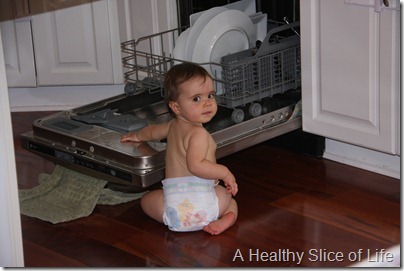 Hailey 10 months- dishwasher caught