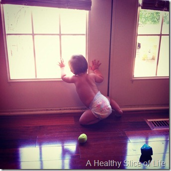 Hailey 10 months- peaking out window