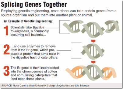splicing genes