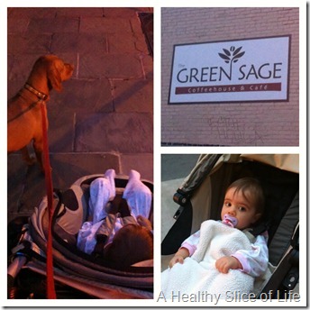 Asheville NC-The Green Sage