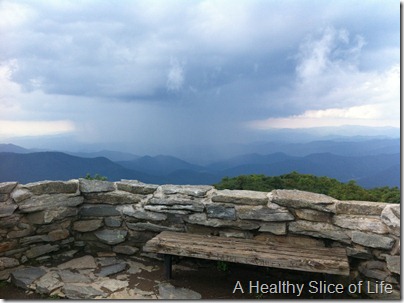 Asheville NC-view craggy gardens