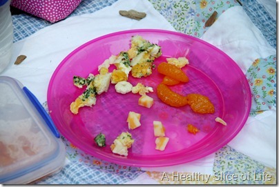 munchkin meals picnic- quiche and fruit