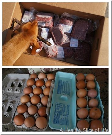 a wonderful day- dr baker eggs