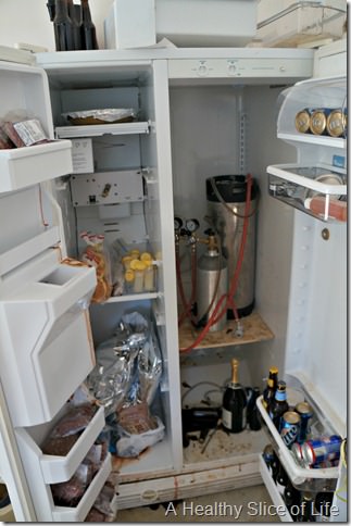 low- dead fridge before