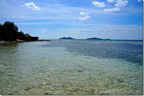 sailing in the BVI- island time- Beef Island- Surfsong Resort- view