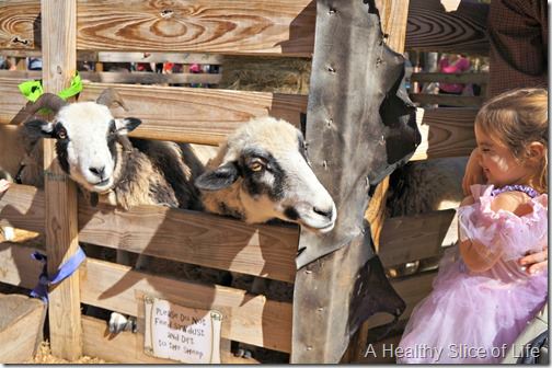 renaissance festival animals