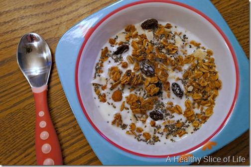 toddler meal prep- chia and blueberry granola bowl