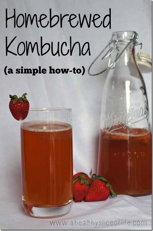 how to brew your own kombucha
