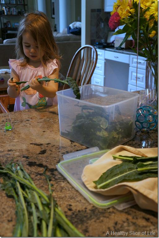 toddler and kale