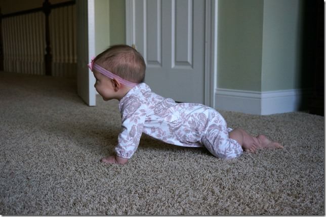 kaitlyn- 5 months- all fours