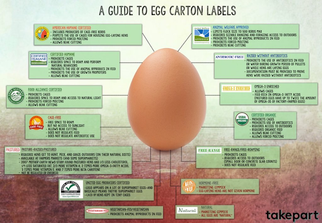 egg label meaning