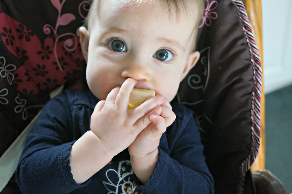 Baby Led Weaning First Food Ideas