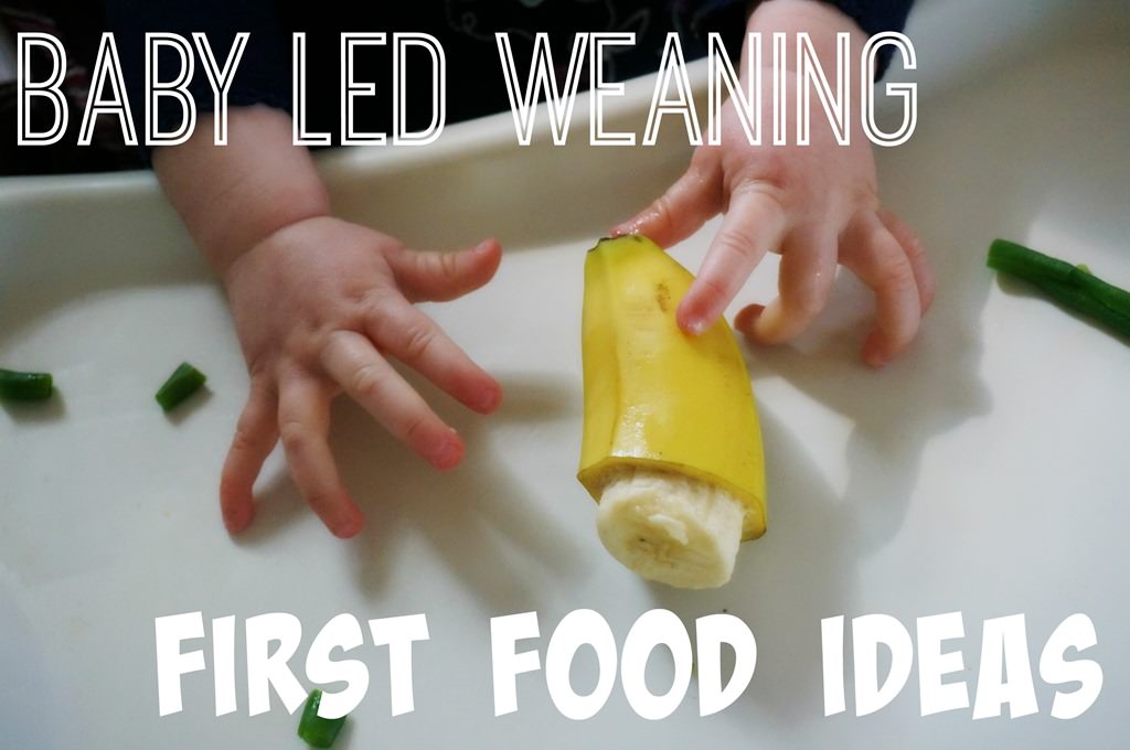 Baby Led Weaning First Food Ideas