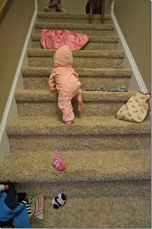 8 months old- stair climber