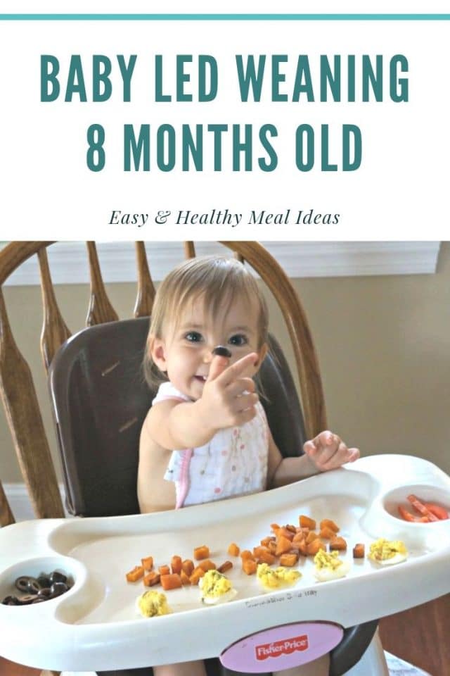 8 months old baby led weaning