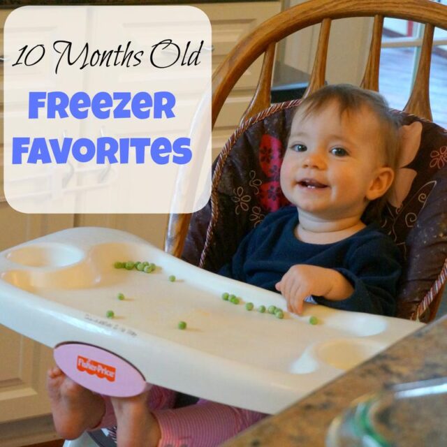 10 months old favorite freezer foods