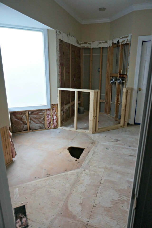 master bath demo