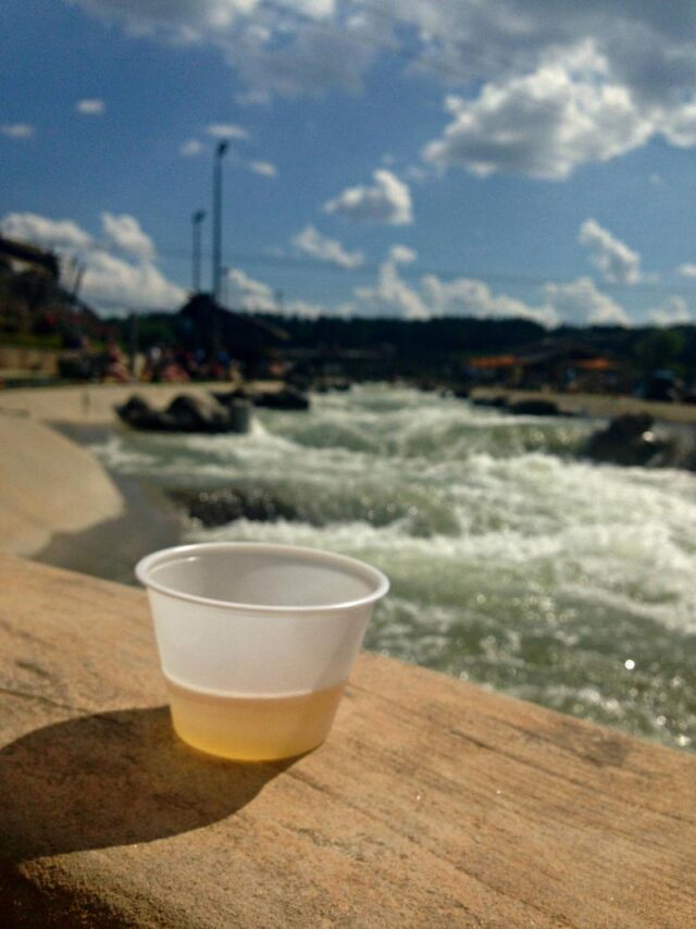 usnwc- brew bash sample