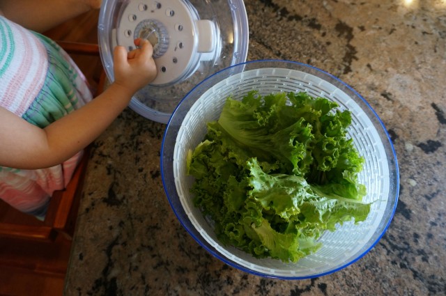 lettuce prep