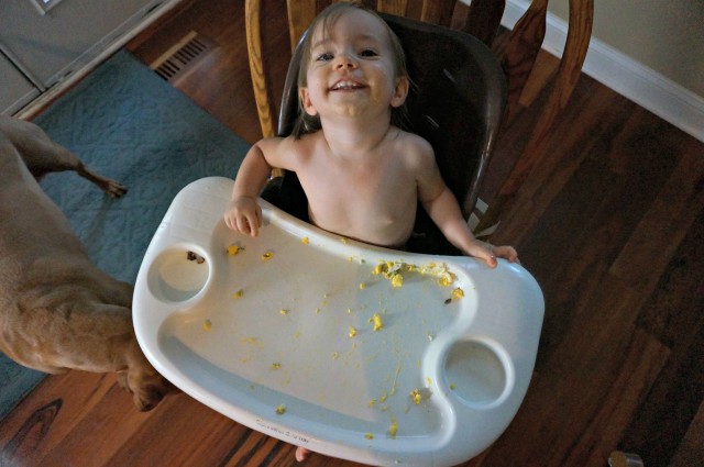 how much should a 14 month old eat- after mess