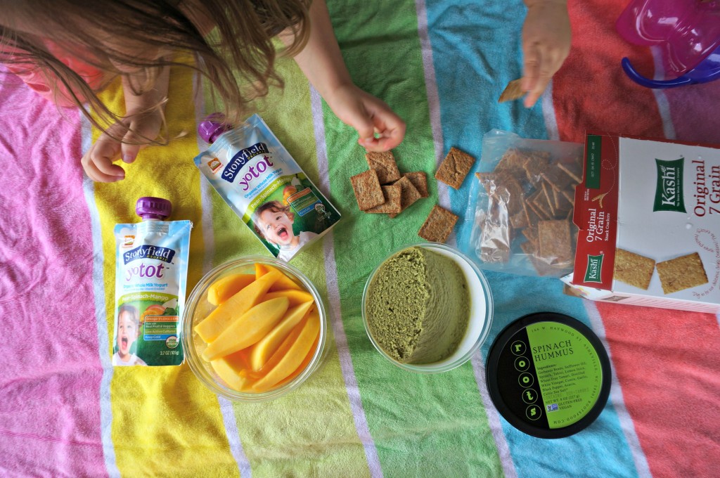 What my 14 Month Old Ate - A Healthy Slice of Life