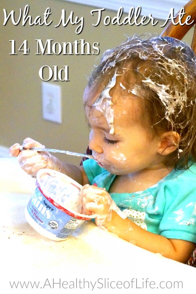 What my 14 Month Old Ate - A Healthy Slice of Life