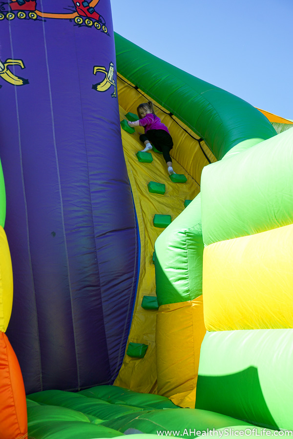 carolina-balloon-festival-2016-4-of-15