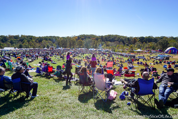 carolina-balloon-festival-2016-8-of-15