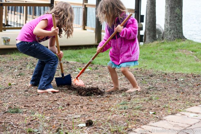 girls digging in dirt
