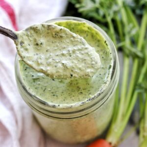 Herbed Goat Cheese Dip