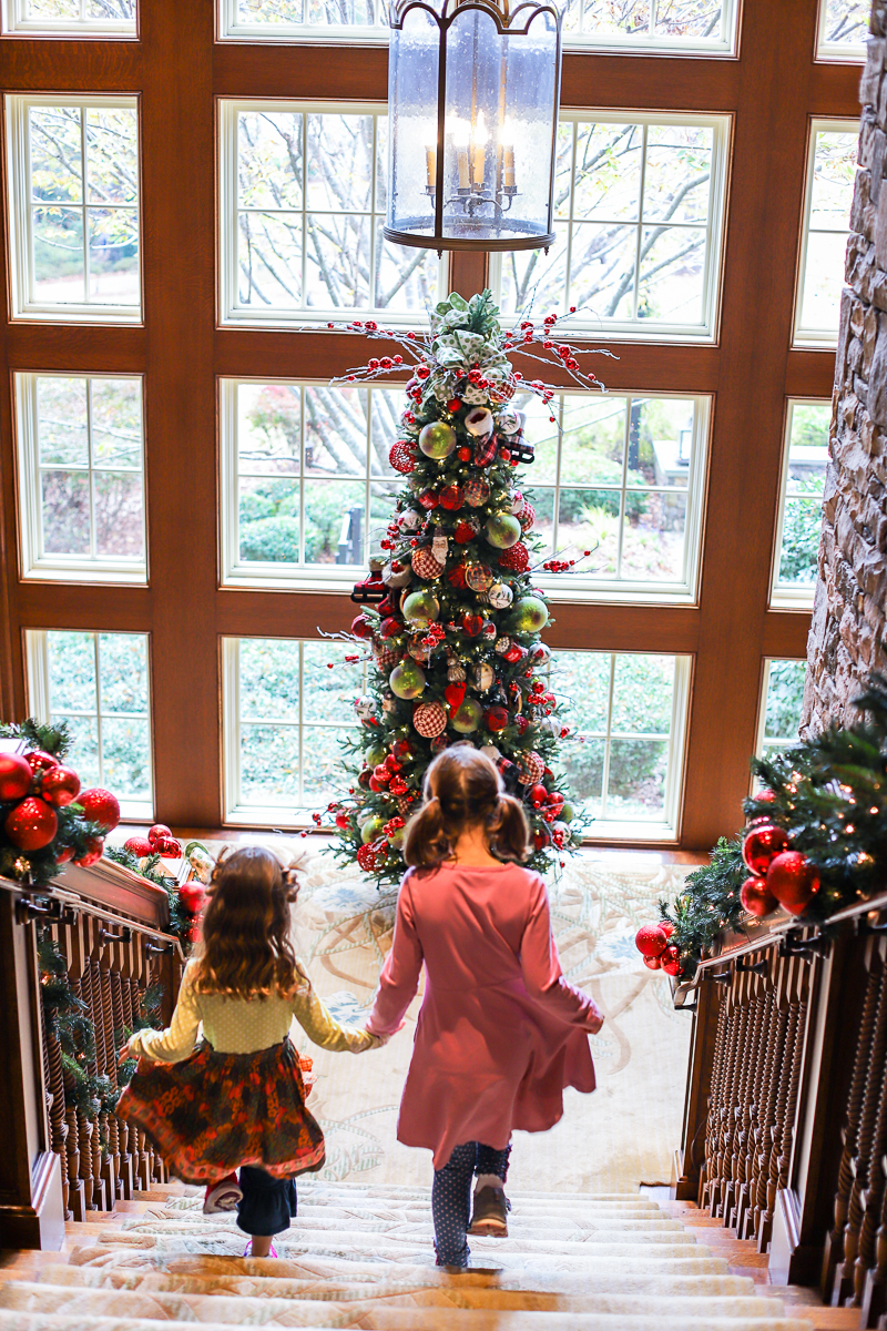 Thanksgiving Week Highlights 2018 - A Healthy Slice of Life
