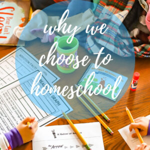 Our path to homeschooling
