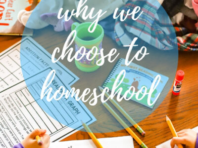 Our path to homeschooling