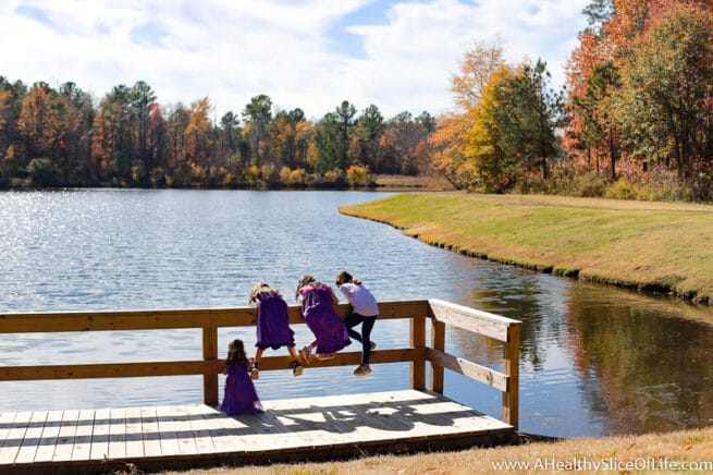 Thanksgiving Week 2019 Highlights - A Healthy Slice of Life