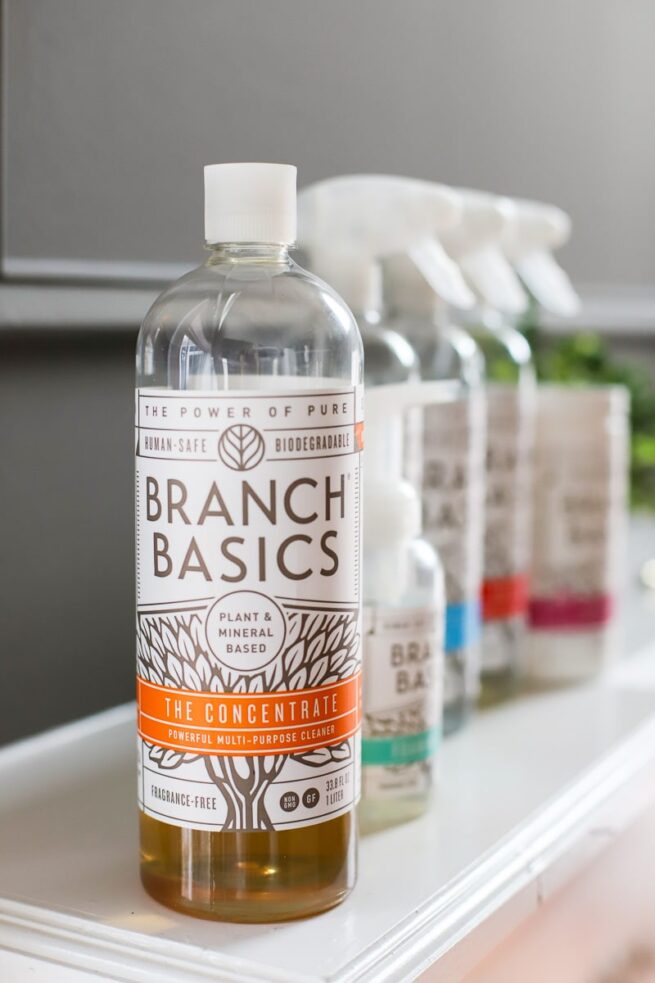 Basicly Cleaner Branch Basics Cleaner Review - A Healthy Slice of Life