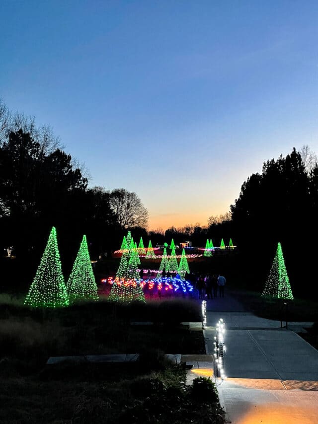 Daniel Stowe Christmas + Our Favorite Tradition A Healthy Slice of Life