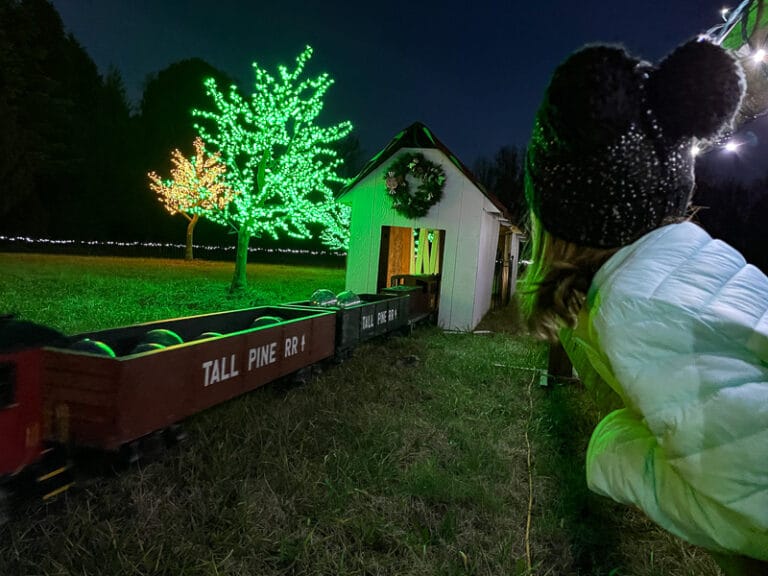 Daniel Stowe Christmas + Our Favorite Tradition A Healthy Slice of Life