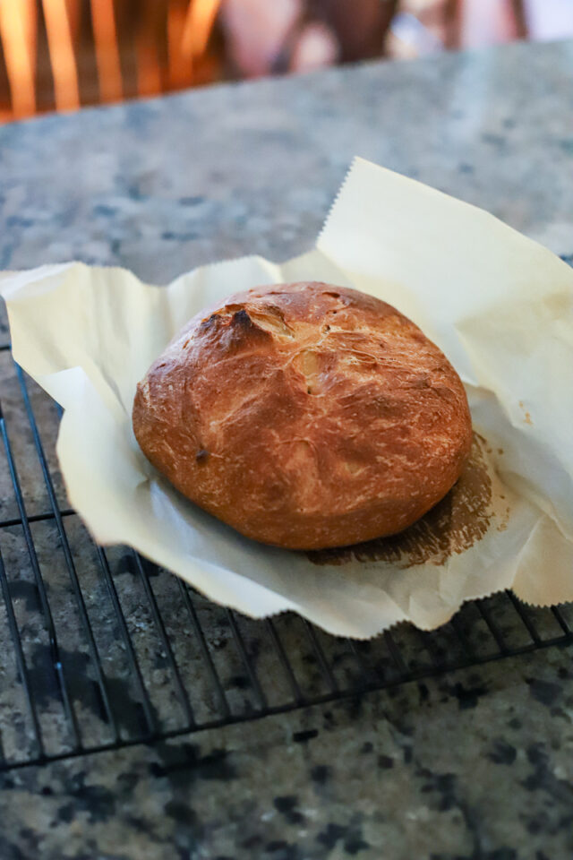 My Experience with Dried Sourdough Starter A Healthy Slice of Life