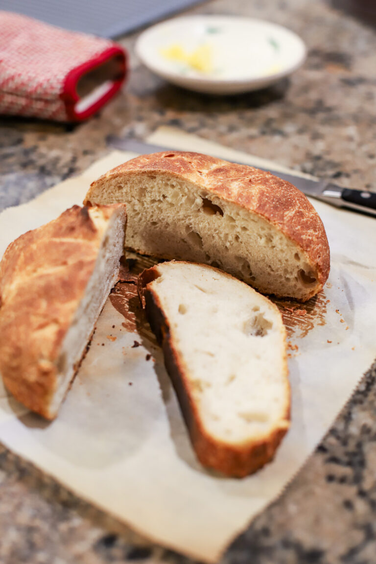 My Experience with Dried Sourdough Starter A Healthy Slice of Life