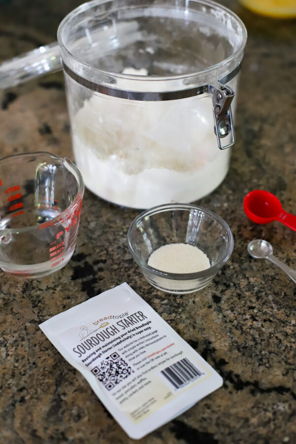 My Experience with Dried Sourdough Starter A Healthy Slice of Life