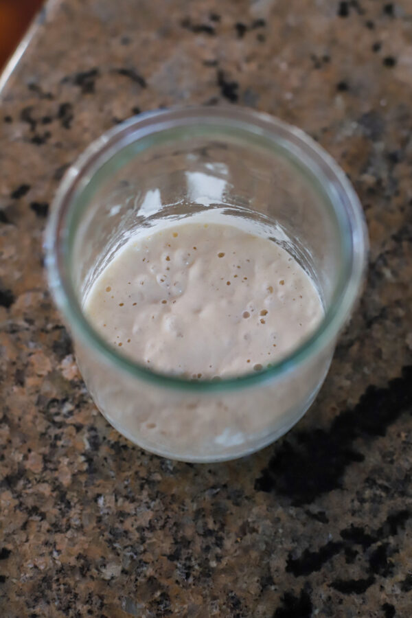 My Experience with Dried Sourdough Starter A Healthy Slice of Life