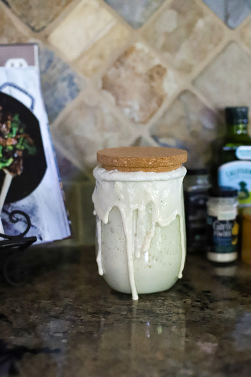 My Experience with Dried Sourdough Starter A Healthy Slice of Life