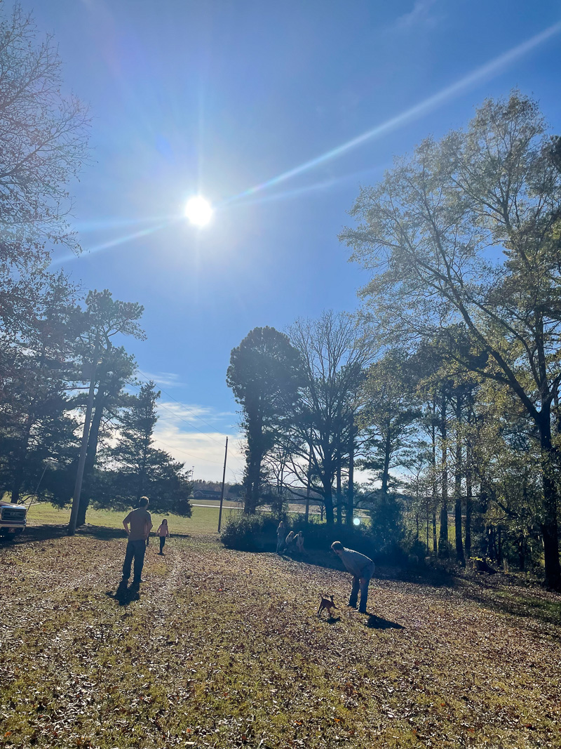 Thanksgiving Week 2019 Highlights - A Healthy Slice of Life