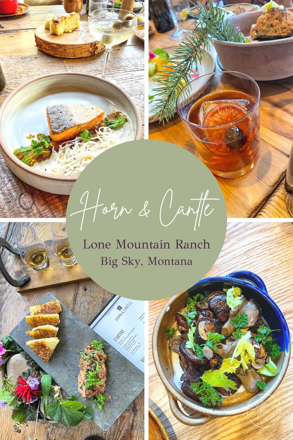 Horn and Cantle Review A Healthy Slice of Life