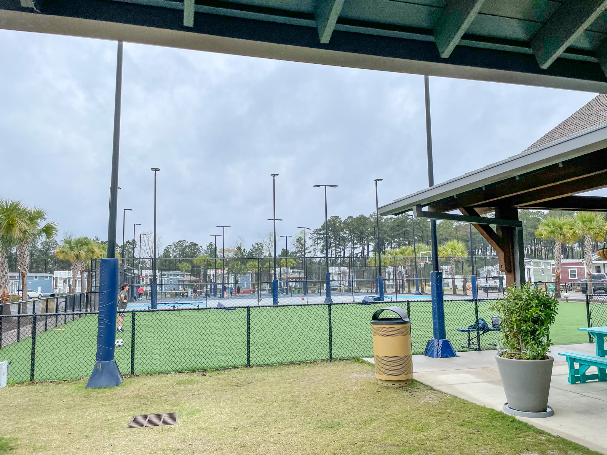 Carolina Pines Review A Healthy Slice of Life