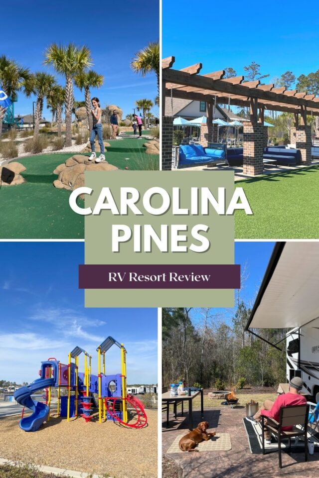 Carolina Pines Review A Healthy Slice of Life