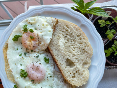 sourdough egg