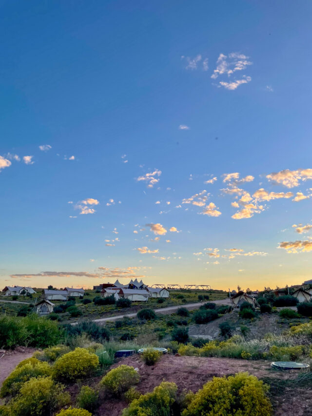 Under Canvas Zion Review A Healthy Slice of Life