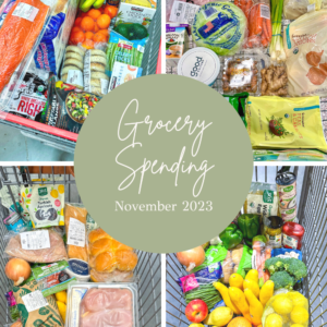 November 2023 Grocery Spending